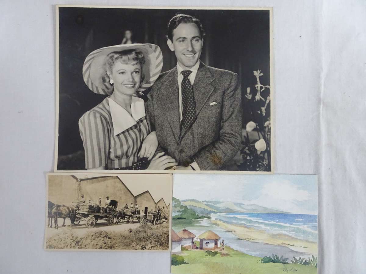 Beautiful Set Of Eleven Old Vintage Photos (1930's - 1960's) - Still In Good Condition