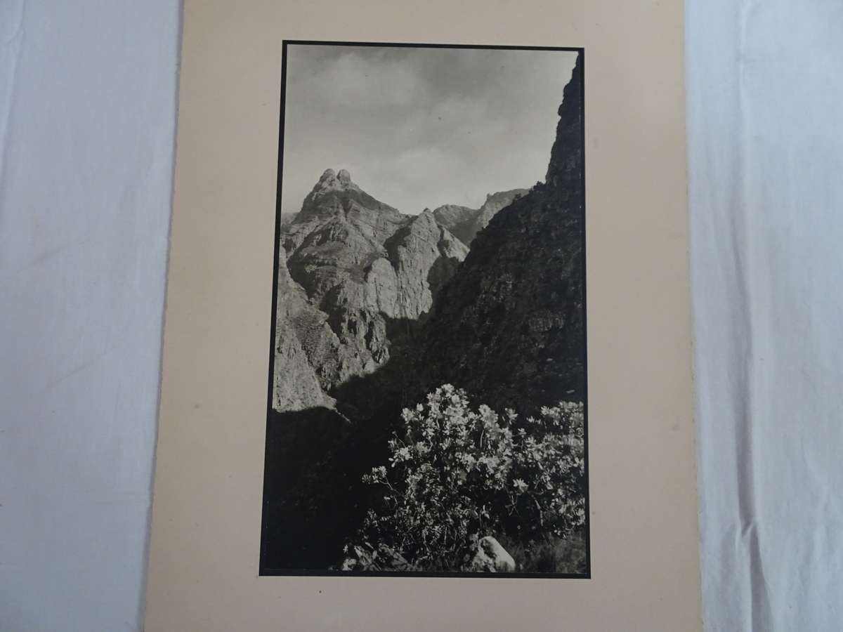 Stunning Set Of Eight Large Old Vintage Photos (1930's - 1960's) - Still In Good Condition
