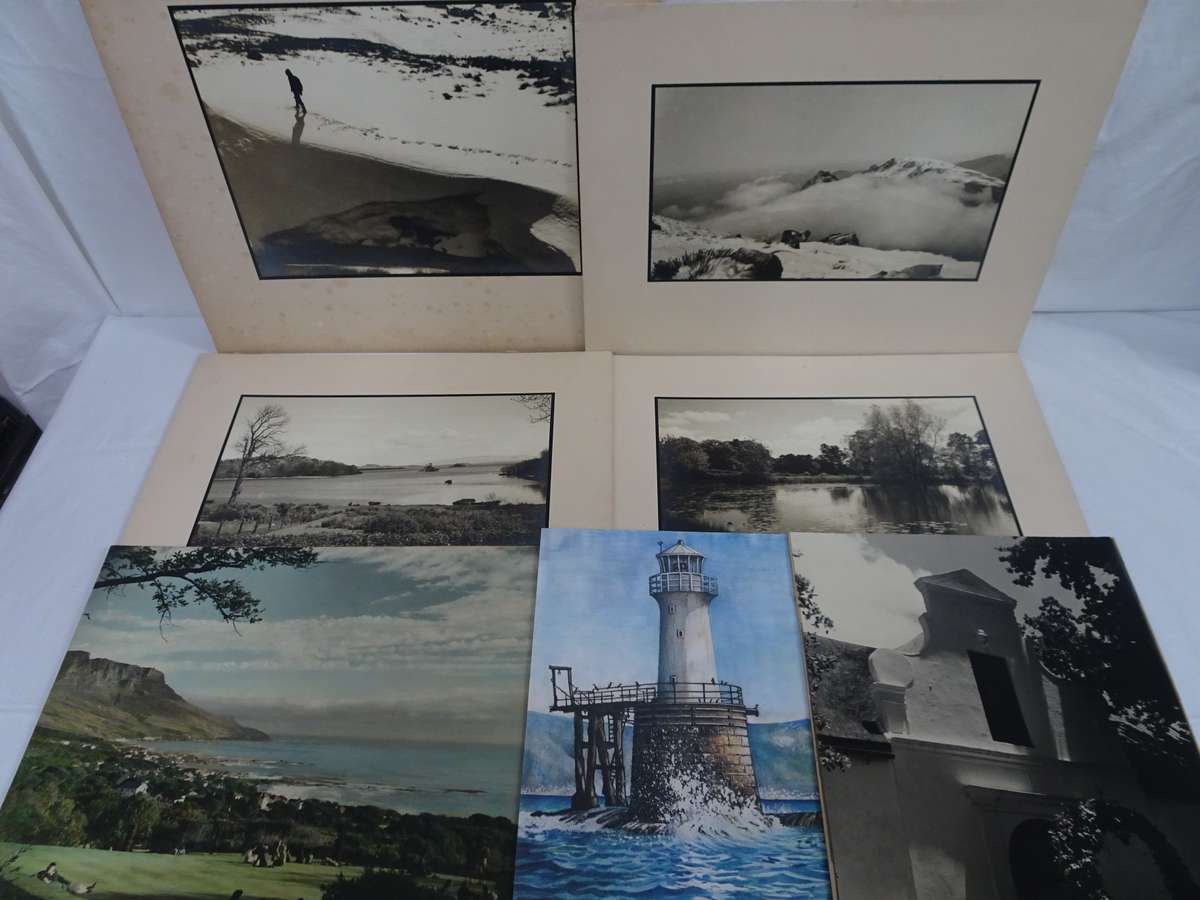 Seven Stunning Old Vintage Landscaping Photos - Still In Good Condition - See Images