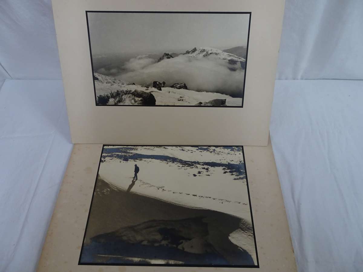 Seven Stunning Old Vintage Landscaping Photos - Still In Good Condition - See Images