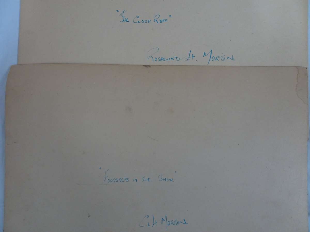 Seven Stunning Old Vintage Landscaping Photos - Still In Good Condition - See Images