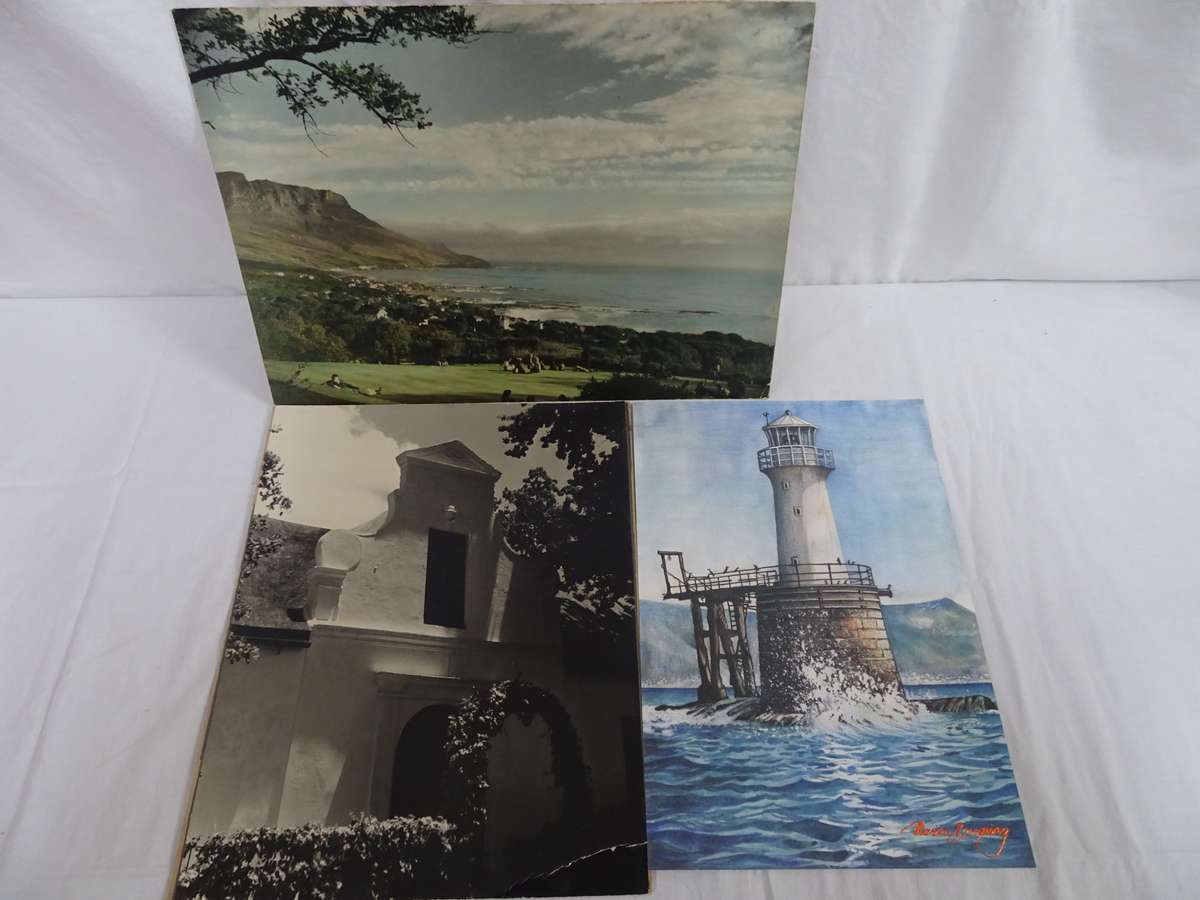 Seven Stunning Old Vintage Landscaping Photos - Still In Good Condition - See Images