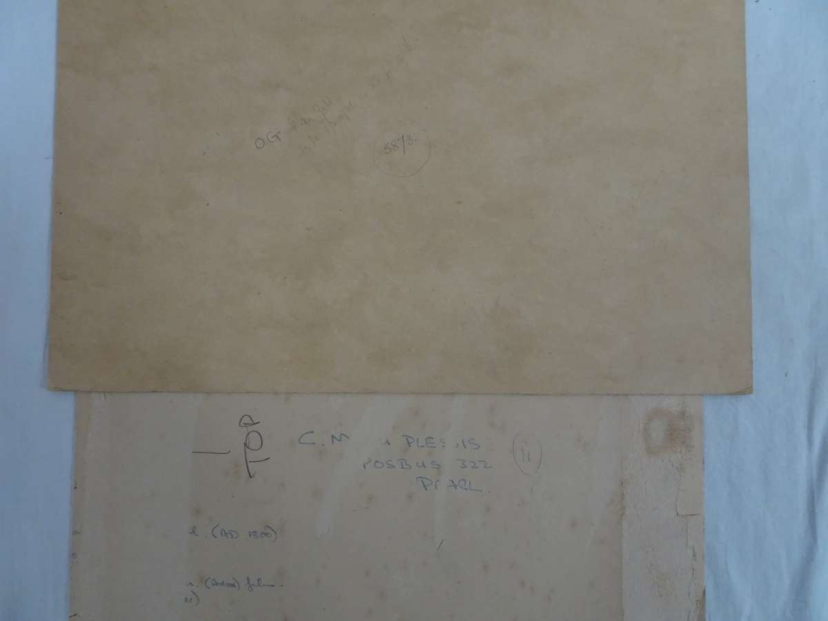 Seven Stunning Old Vintage Landscaping Photos - Still In Good Condition - See Images