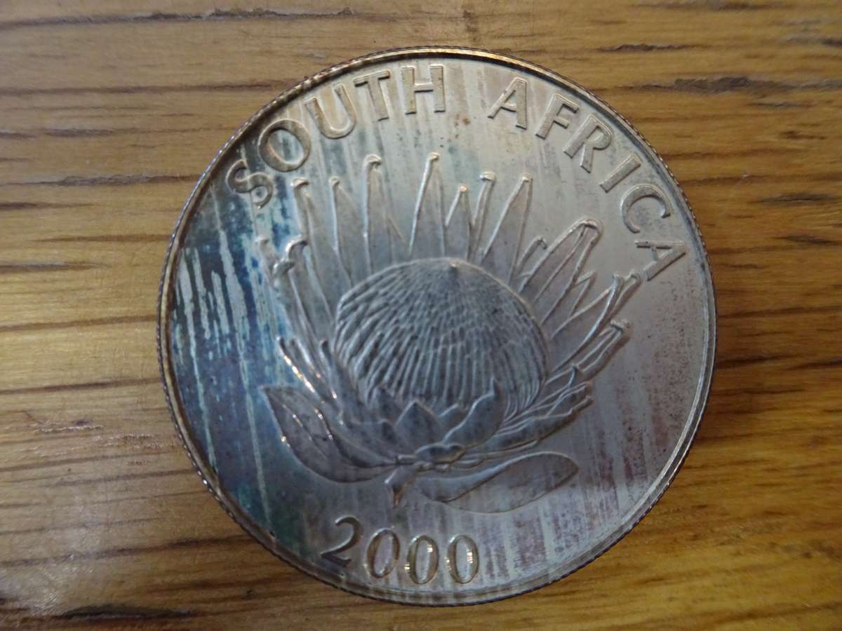 2000 South Africa Silver R1 Uncirculated Protea Year of Wine Industry Coin - Excellent Condition