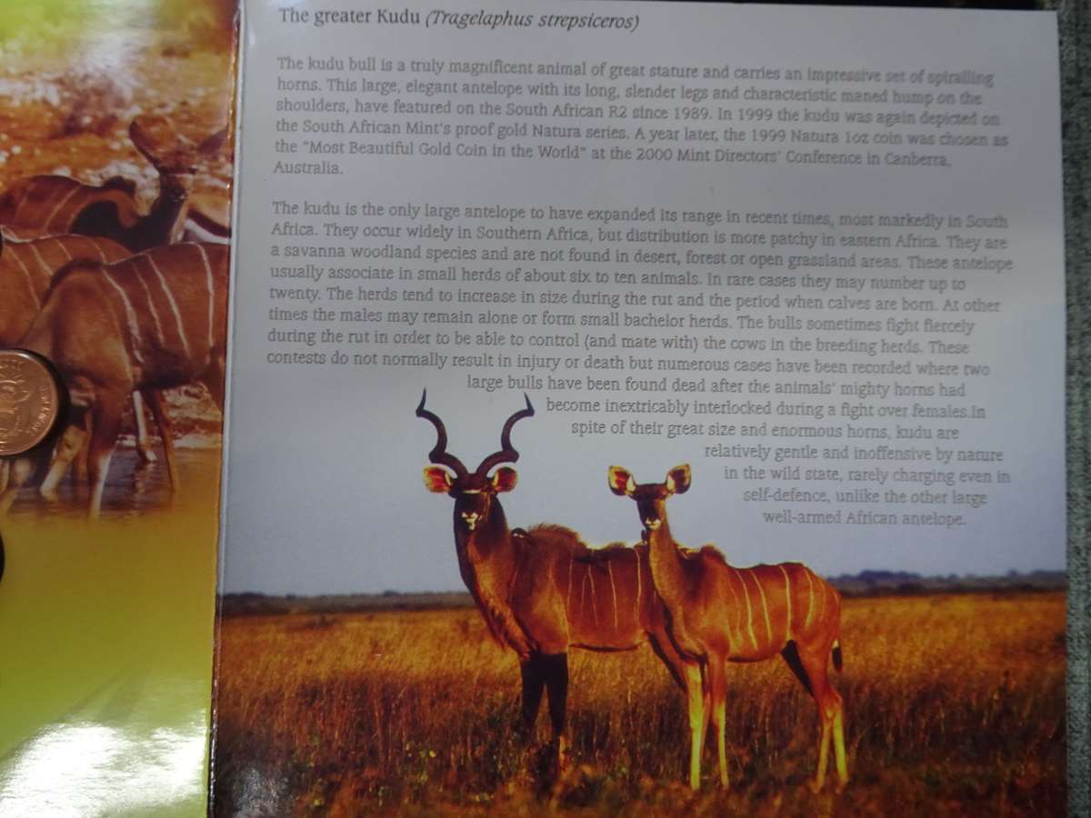 South African Uncirculated 2001 Coin Set - In Good Condition