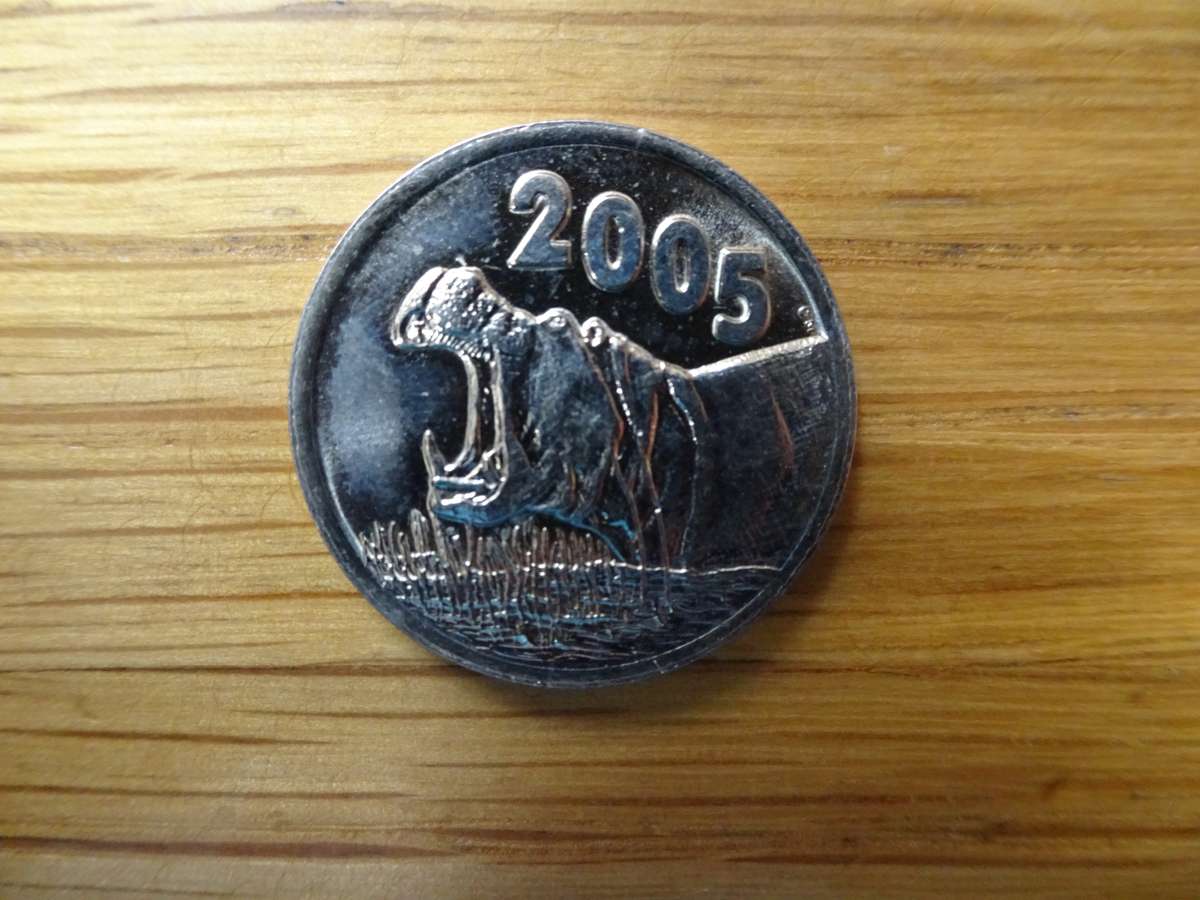 Six World Coin 2005 Hippopotamus Tokens -South African Mint - Bidding Per Token