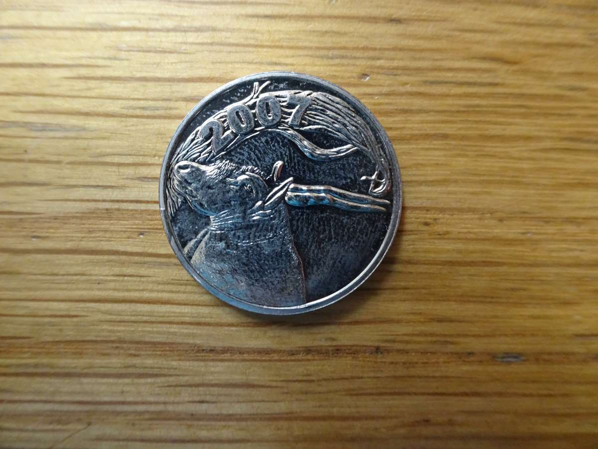 Fourteen World Coin 2007 Tokens -South African Mint -Bidding Per Token - Excellent Condition