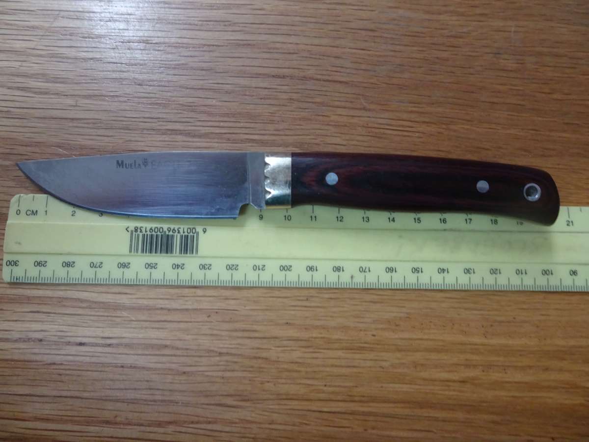 Stunning Muela Eagle Spain Made - Molibdeno Vanadio Hunting Knife In Original Leather Bag