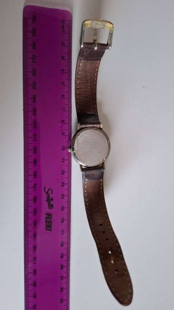 Rotary 17 Jewels Swiss made Gents Incablac Automatic Gents Watch -Non Magnetic 1703-64-34 See Desp