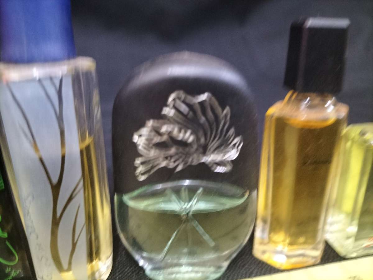 10 Vintage Miniature Perfumes