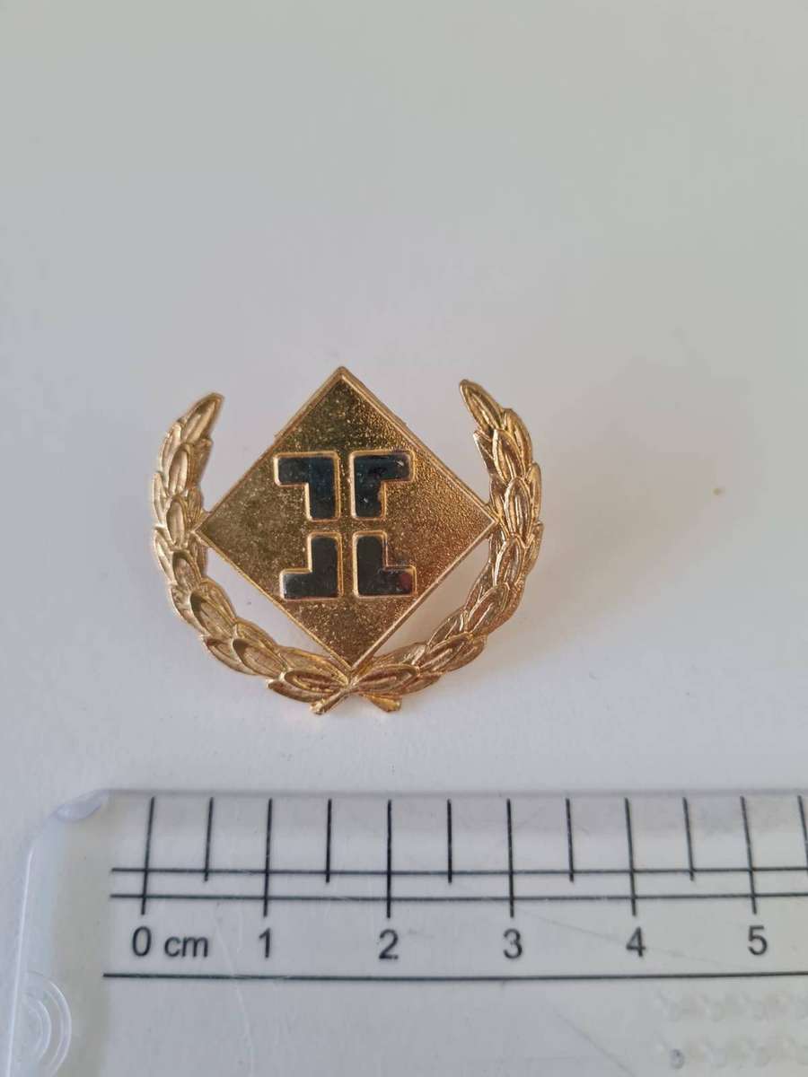 SAAF / SA Army Intelligence Bi-Metal Mustering Badge  T T Emblem
