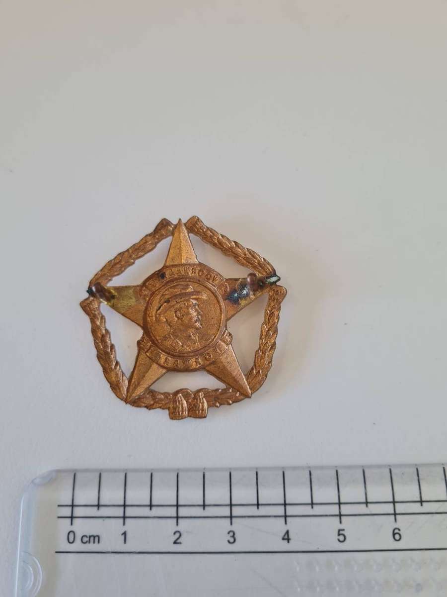 SADF Regiment Botha Cap Badge
