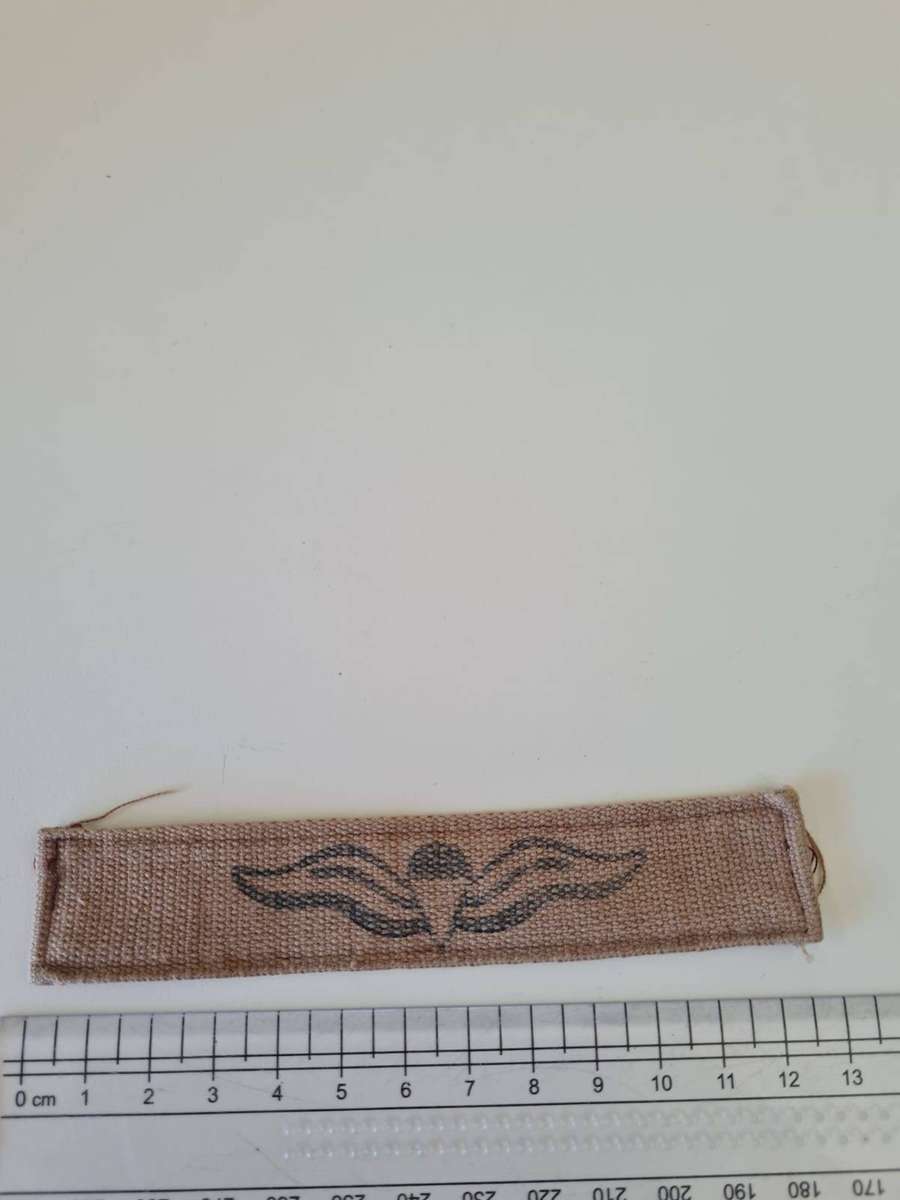 SADF Nutria Parachute Wing  Static-Line Qualification Badge