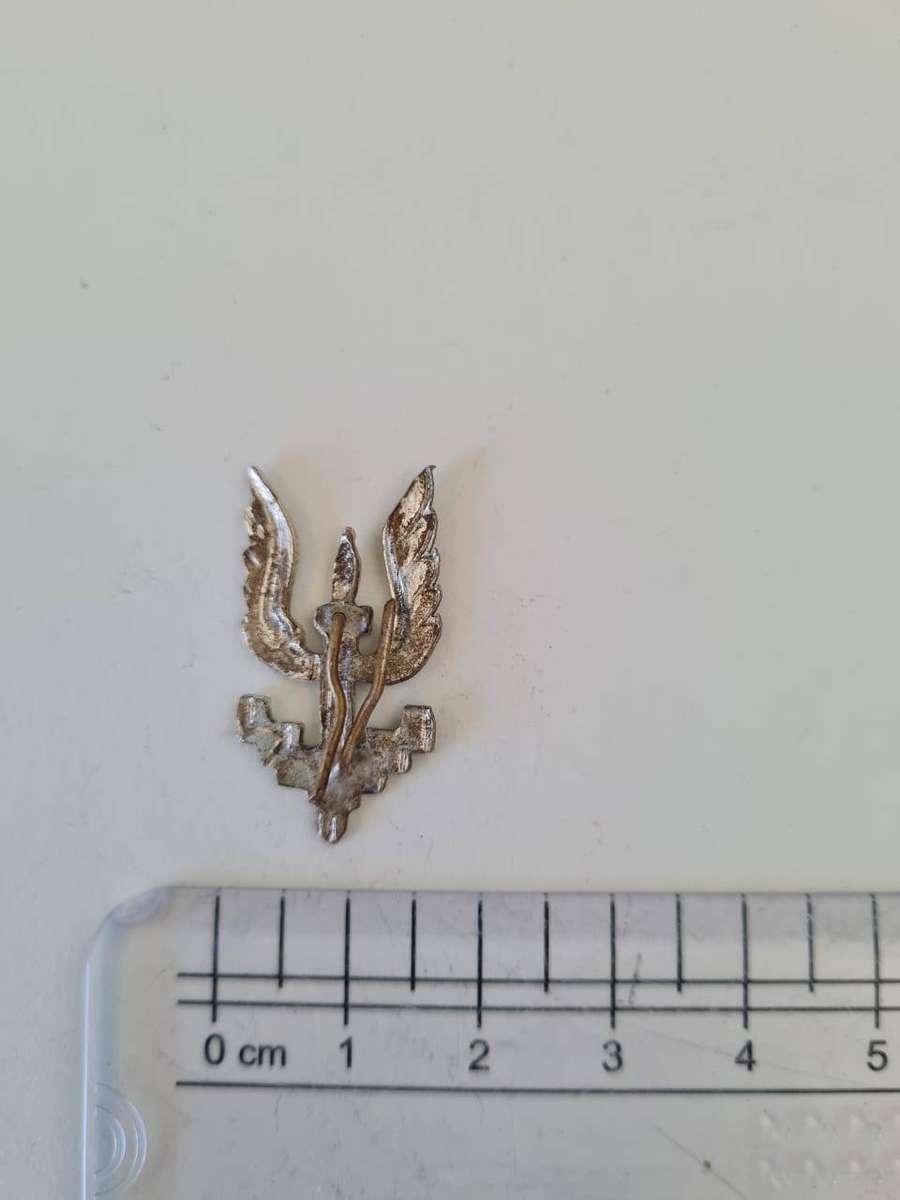 Special Air Service (SAS) Cap Badge  Who Dares Wins (Winged Excalibur)