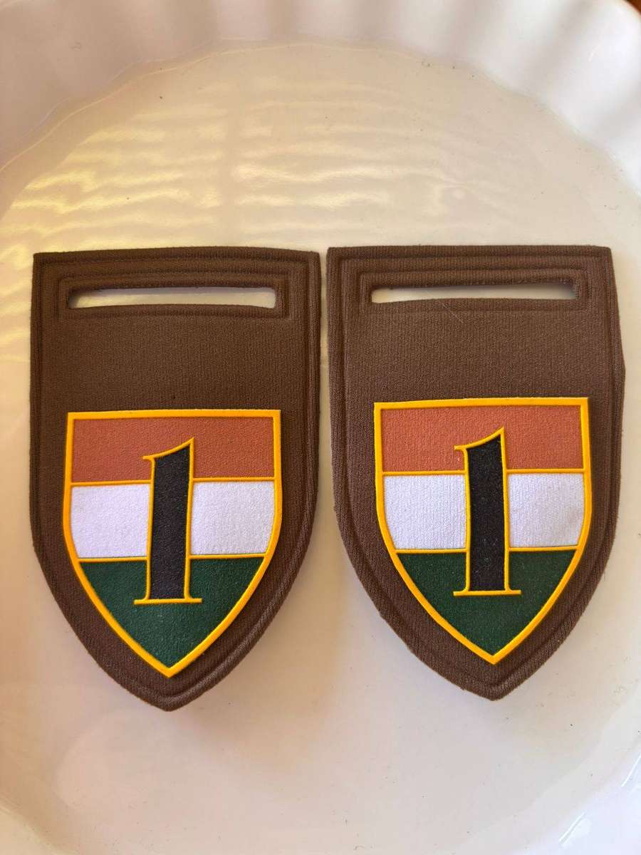1 Battalion Transkei Defence Force tupperware flash ,Pins intact( pair)