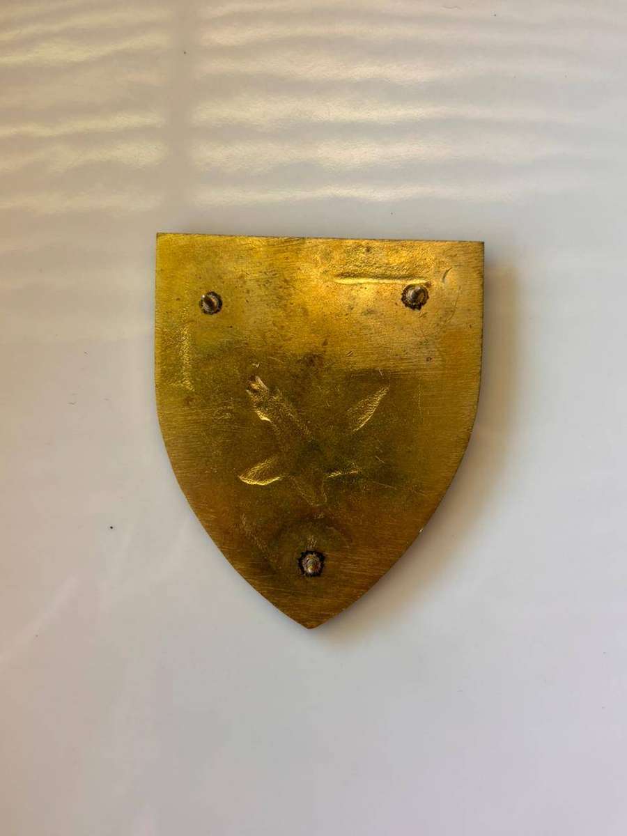 1 Parachute Battalion South Africa Airborne 2nd Type Border War Flash