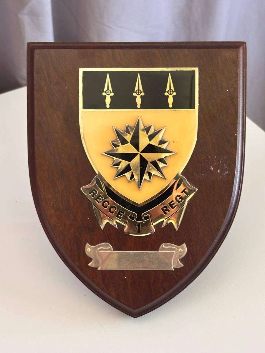 South African Special Forces 1 Reconnaissance Commando Plaque ("RECCE") Excellent Condition