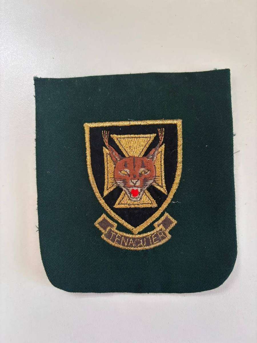 7 South African Infantry Battalion (7 SAI). blazer badge, Embroidered badge