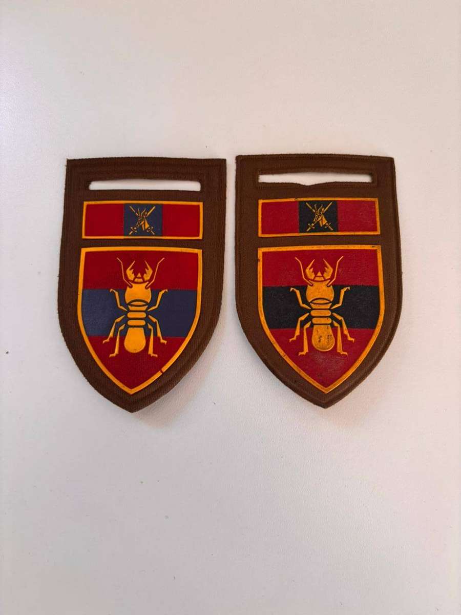 SADF 1 Construction Regiment With Directorate Engineering Commano Tupper Flashes