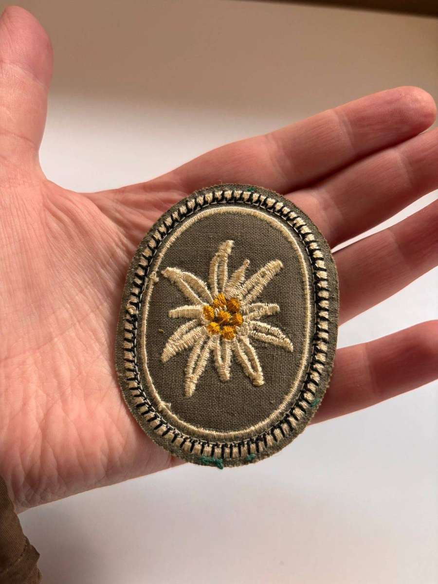German Army 1st Mountain Division Cloth Patch