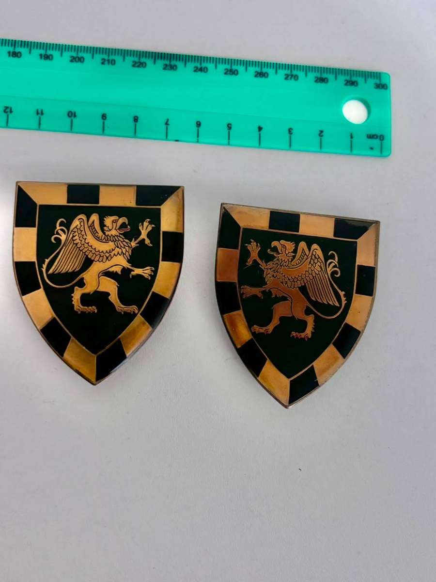SADF 3 South African Infantry Battalion (3 SAI) Shoulder Flashes pins intact