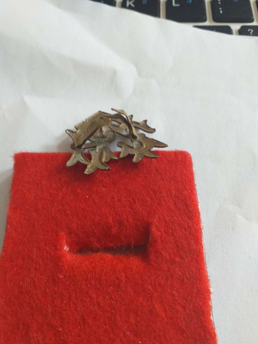 boer war ZAR police cap badge