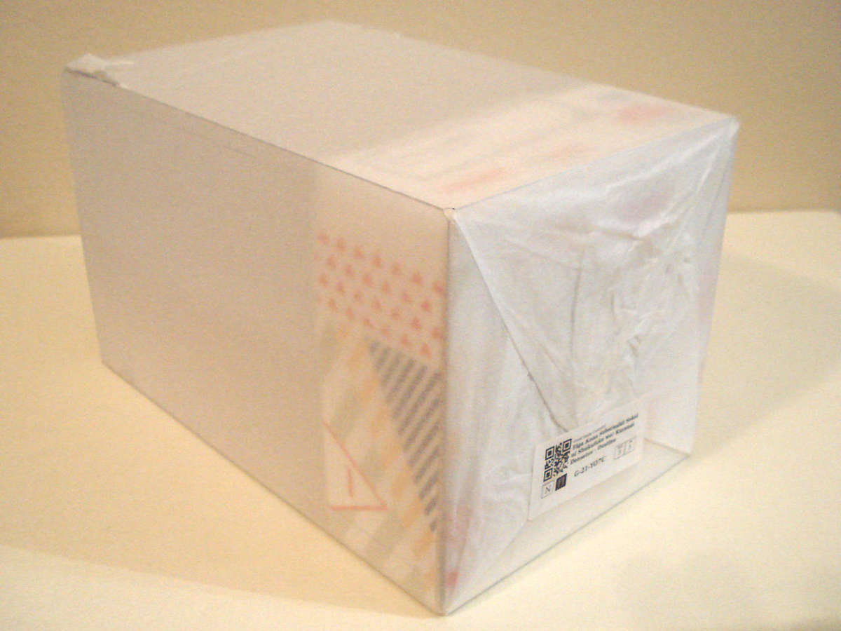 [Unopened] 1/7 Scale Anime Figure - Darkness (Winter Version) - Pop Up Parade