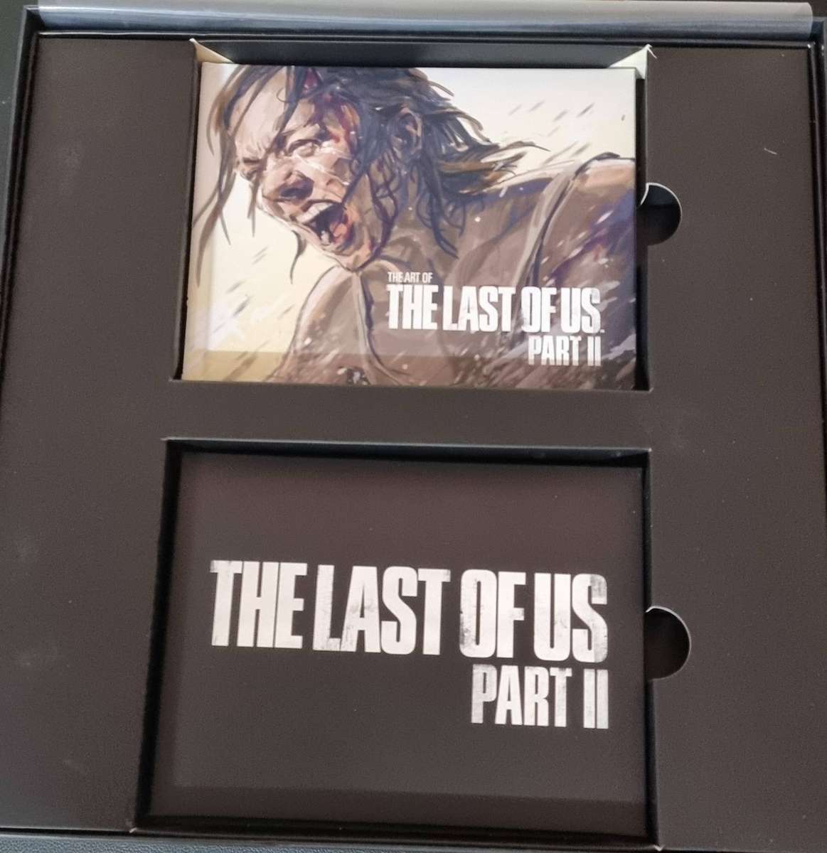 The Last Of us Part 2 - Collectors Edition - PS4