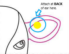 Livestock GPS eartag - Anti theft - GPS tracker - Solar powered