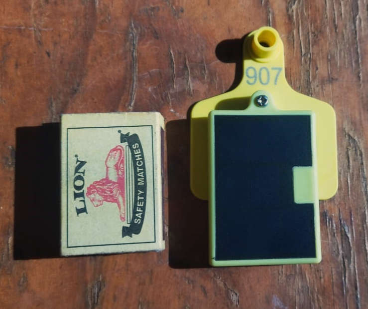 Livestock GPS eartag - Anti theft - GPS tracker - Solar powered