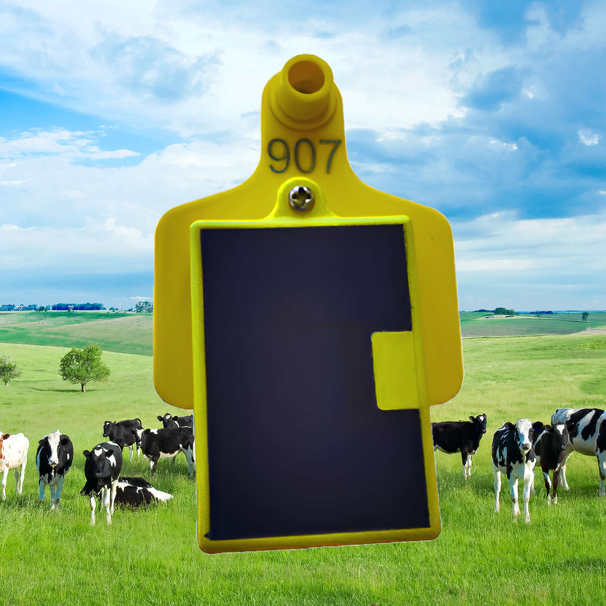 Livestock GPS eartag - Anti theft - GPS tracker - Solar powered