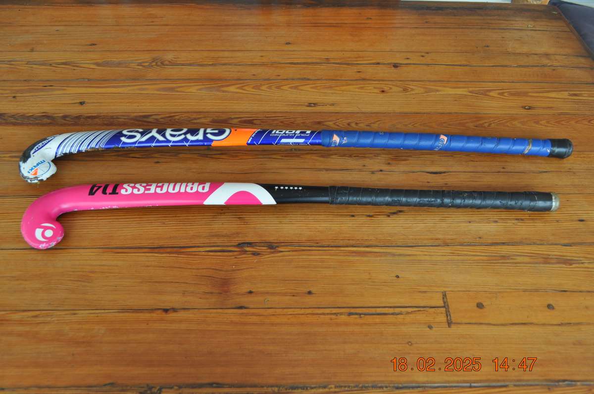 Hockey Sticks Grays and Princess