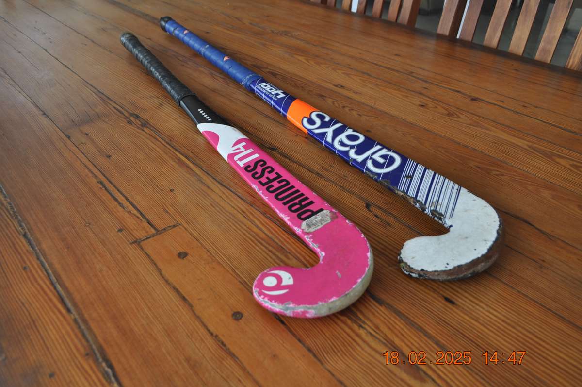 Hockey Sticks Grays and Princess