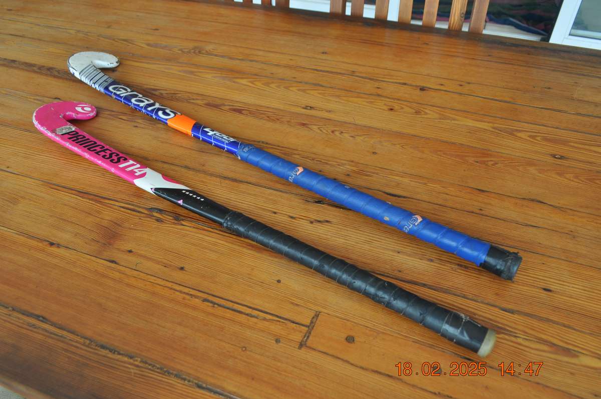 Hockey Sticks Grays and Princess