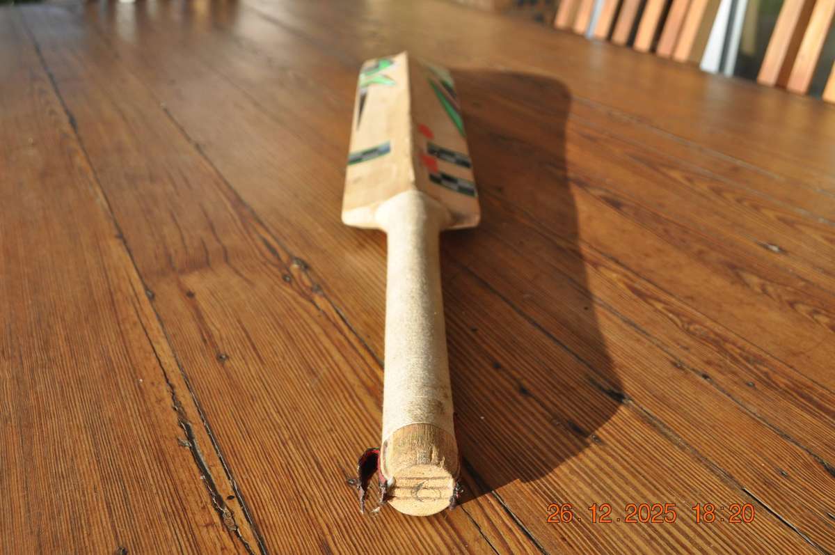 Gray Nicolls Youth Size 6 Cricket Bat (kashmir willow)