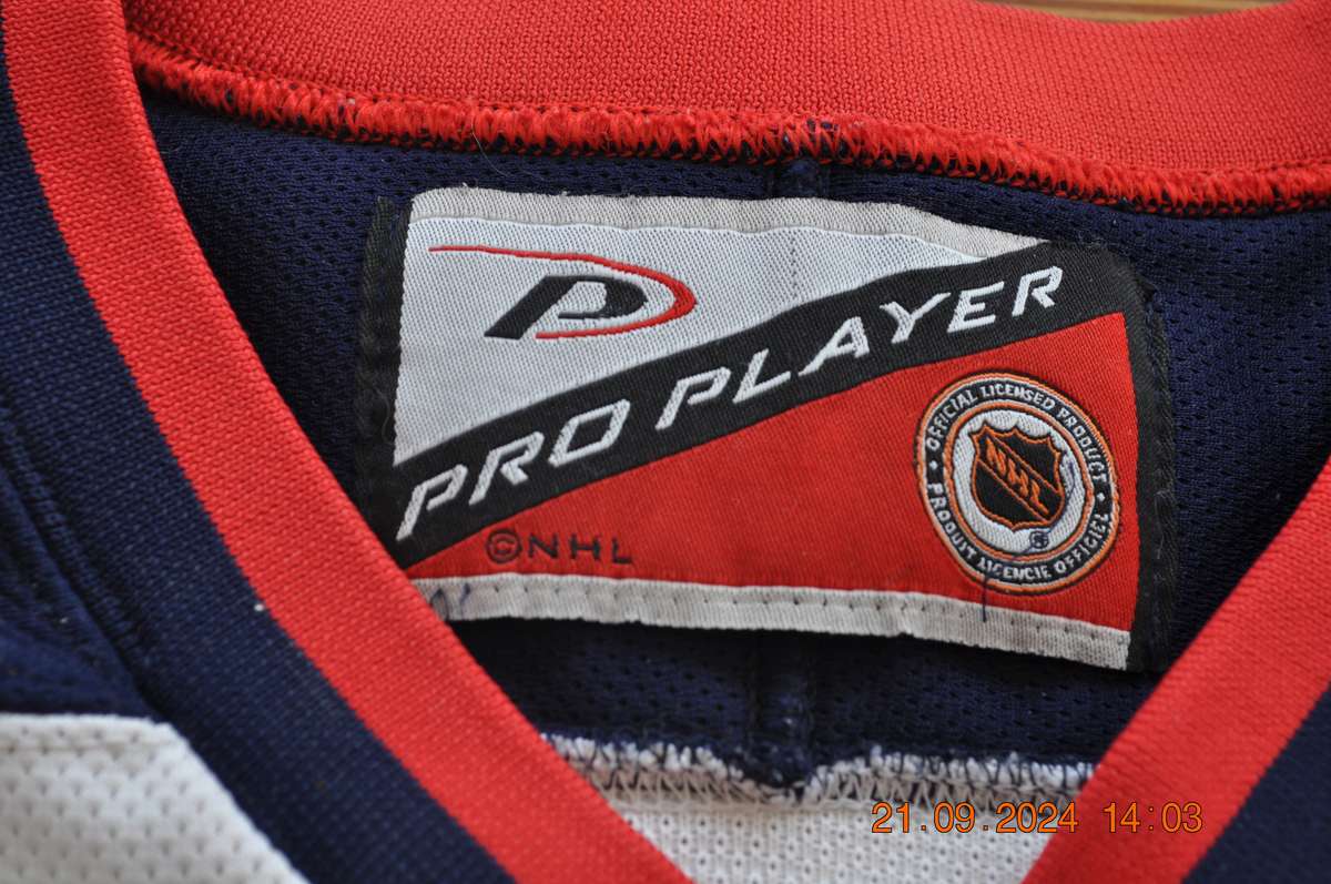 Vintage Columbus Blue Jackets NHL Hockey Jersey