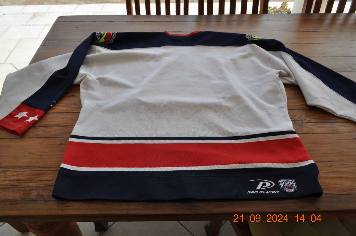 Vintage Columbus Blue Jackets NHL Hockey Jersey