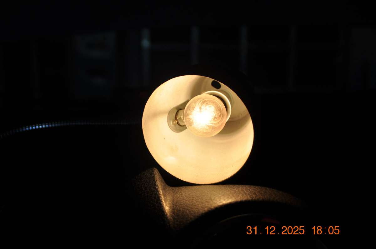 Vintage Goose Neck Light For Car