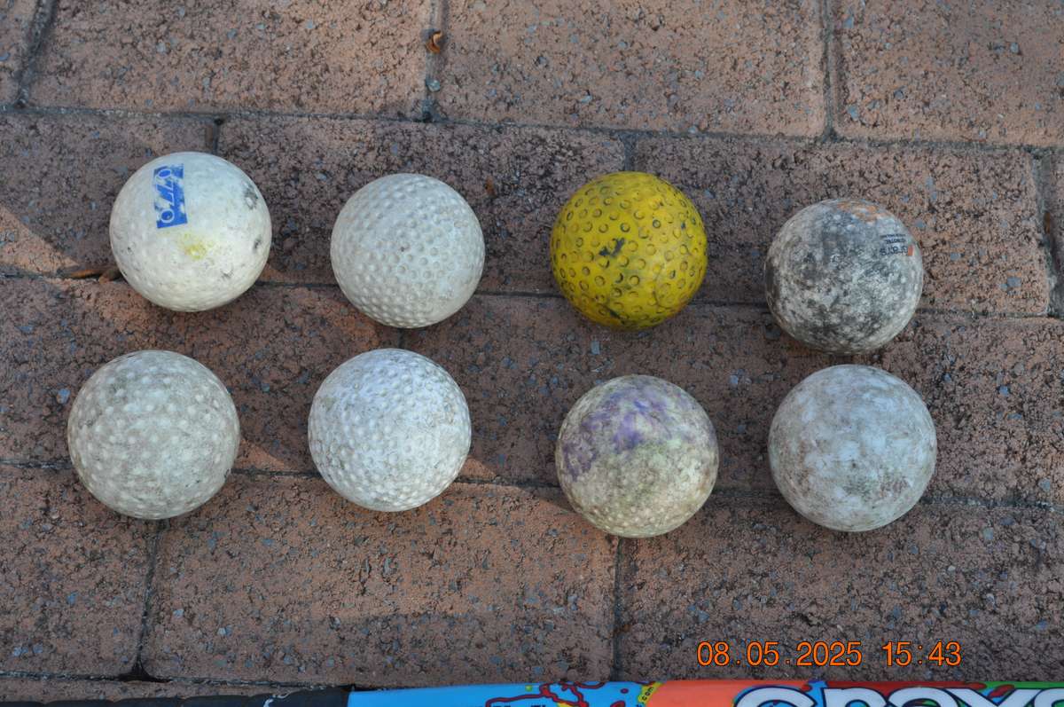 Hockey Sticks and Practice Balls Take Them All