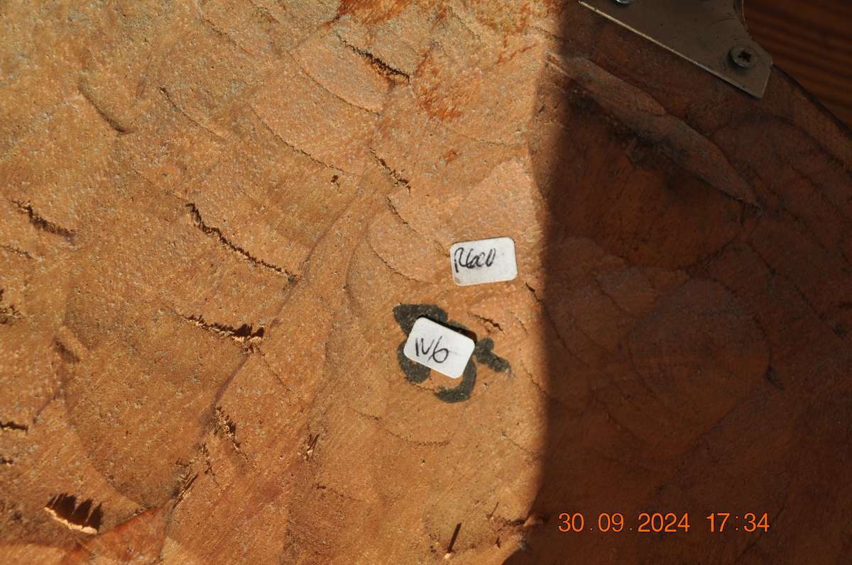 African Wall Mask (ref N6)