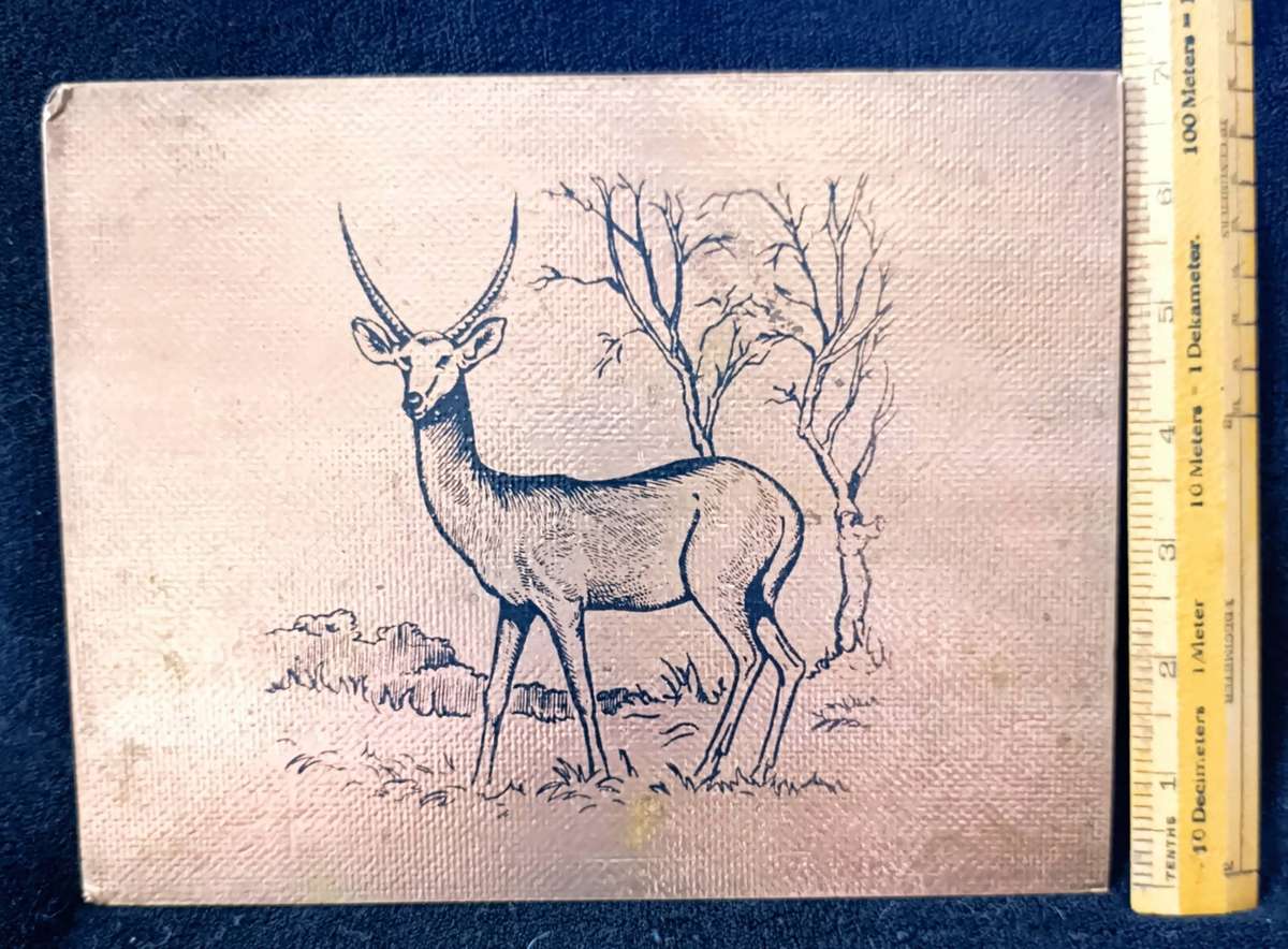 Placemats (African Animal) brass type X6 with X2 Larger Serving Mats