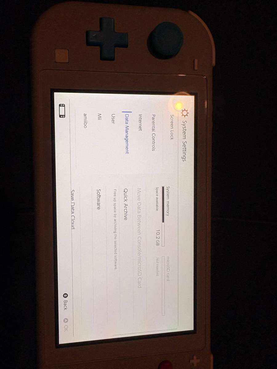 Nintendo Switch Lite Zacian and Zamazenta Edition - Excellent Condition
