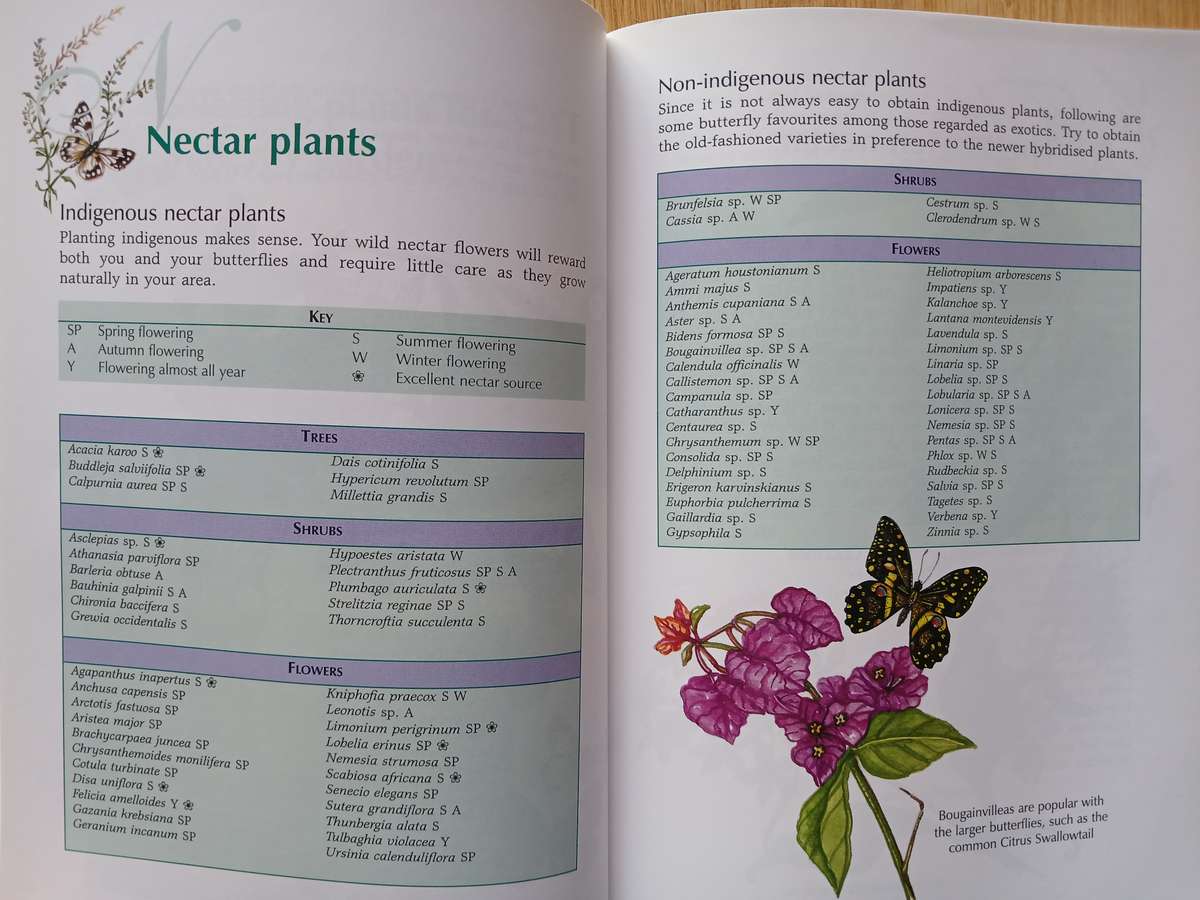Butterfly gardening in South Africa by Jill Reid