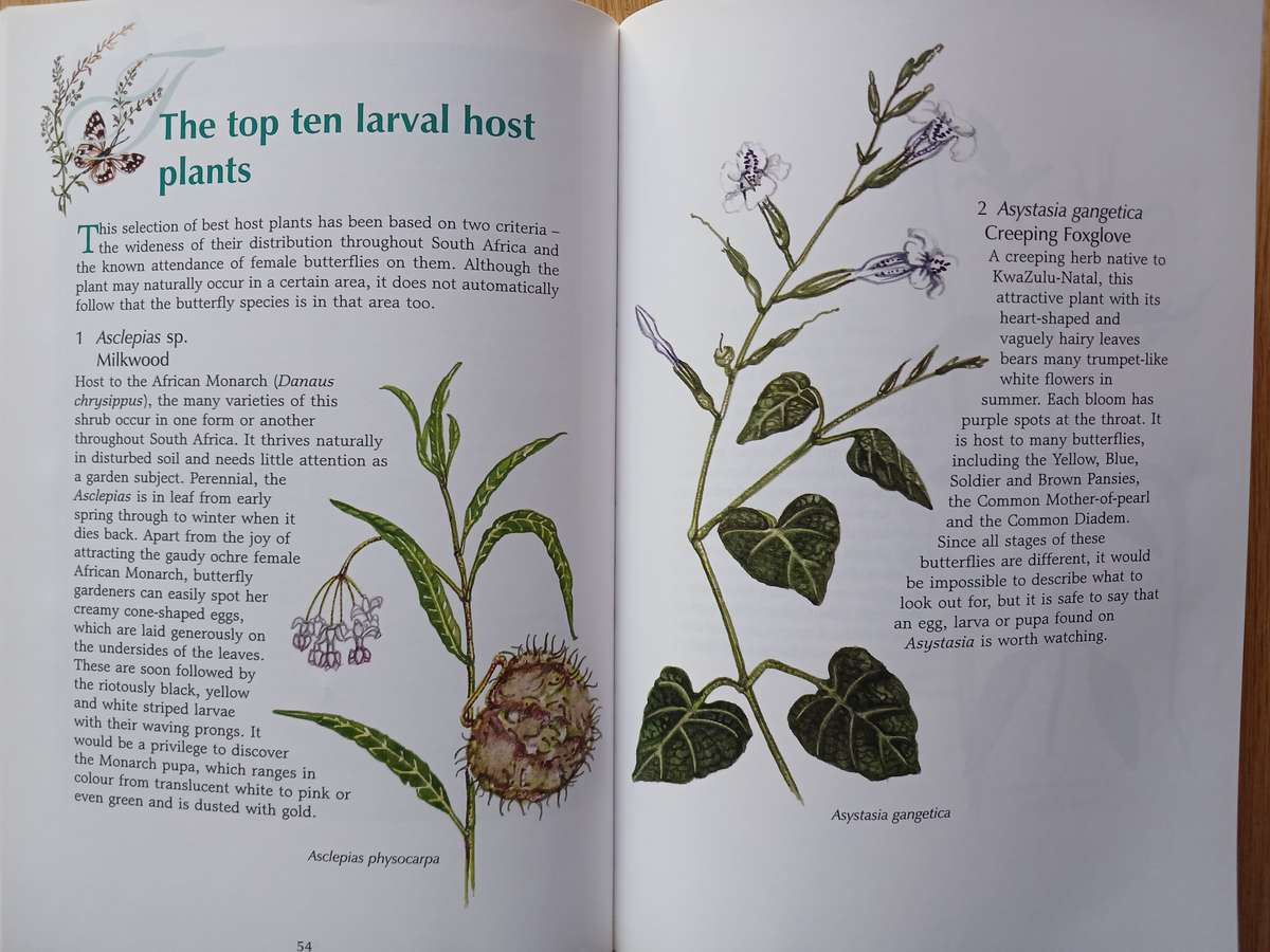 Butterfly gardening in South Africa by Jill Reid