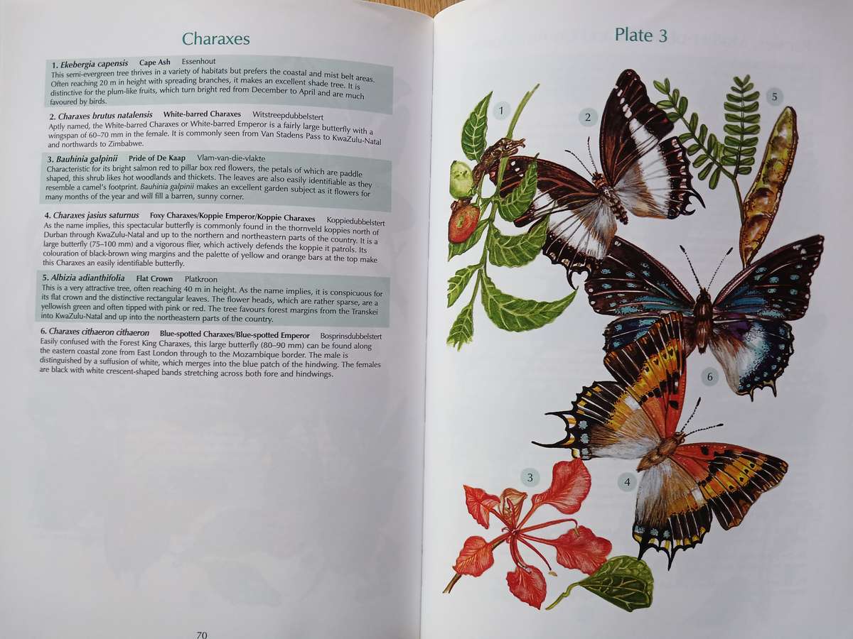 Butterfly gardening in South Africa by Jill Reid