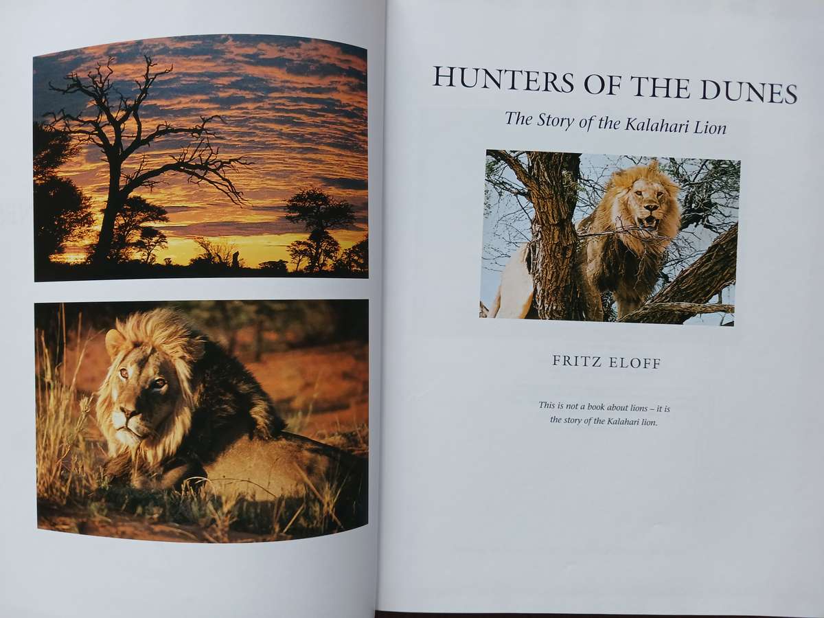 Hunters of the Dunes - The story of the Kalahari lion by Fritz Eloff