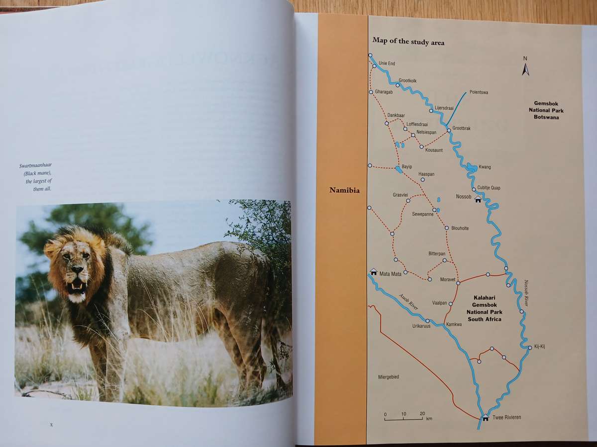 Hunters of the Dunes - The story of the Kalahari lion by Fritz Eloff