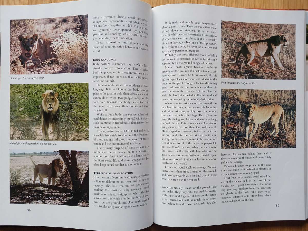 Hunters of the Dunes - The story of the Kalahari lion by Fritz Eloff