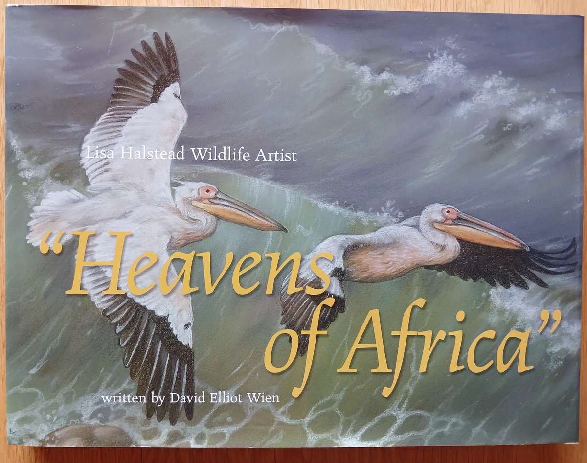 Lisa Halstead Wildlife Artist -  " Heavens of Africa"