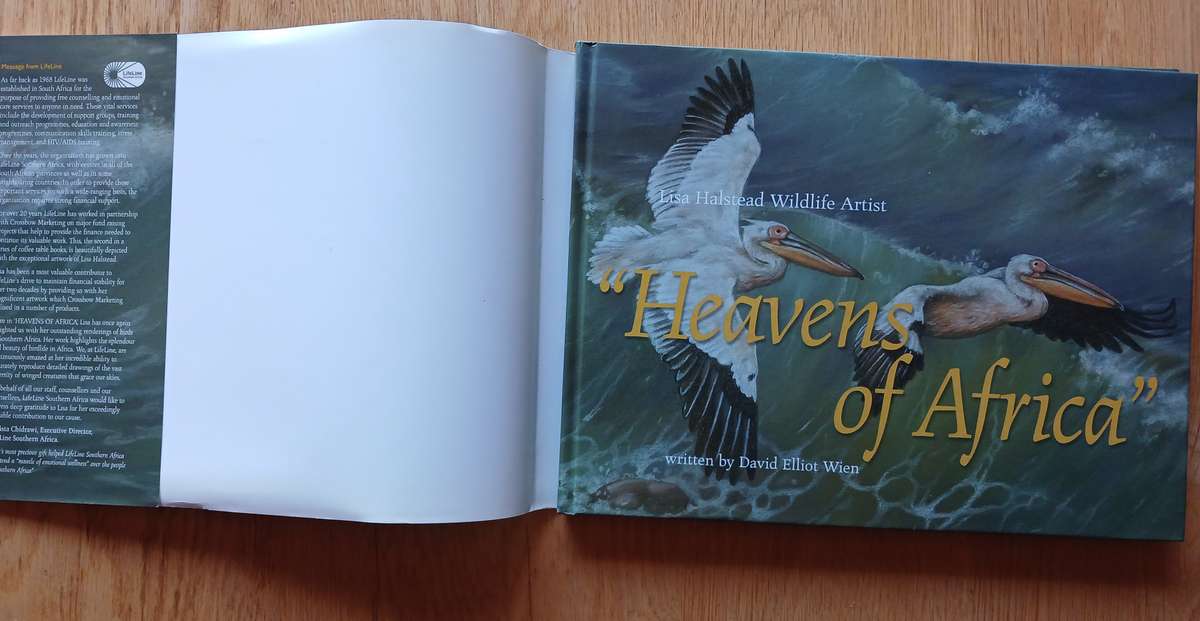 Lisa Halstead Wildlife Artist -  " Heavens of Africa"